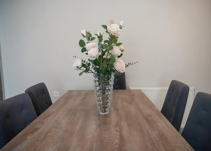 Efraim Oasis Città di Kos